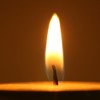 Projects: Cambridge's Holocaust Memorial Day Programme